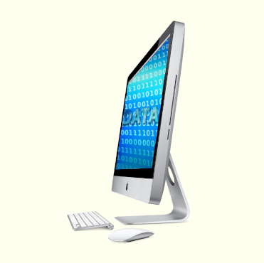 Data Entry & Formatting services